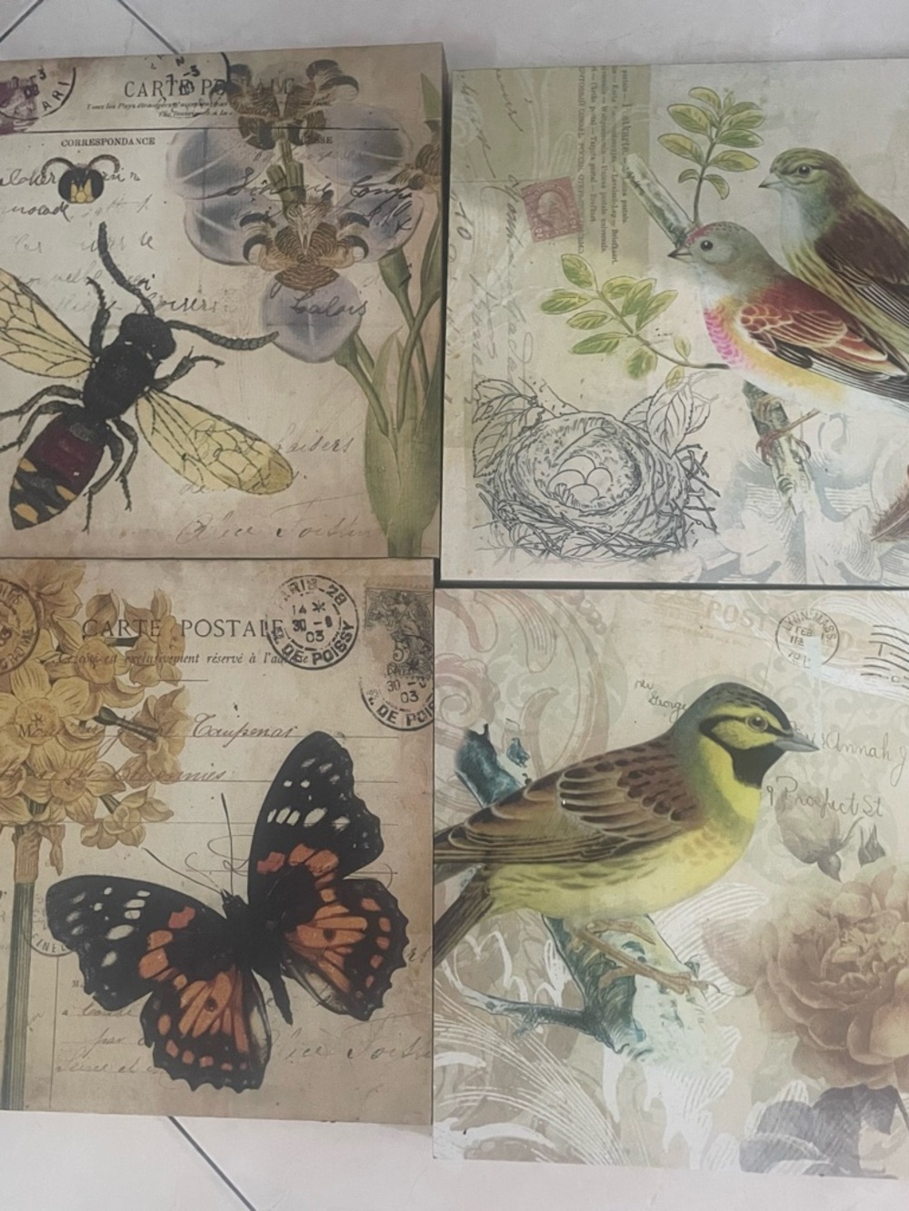 Botanical Bird & Insect Wall Art Set - Neutral Tones